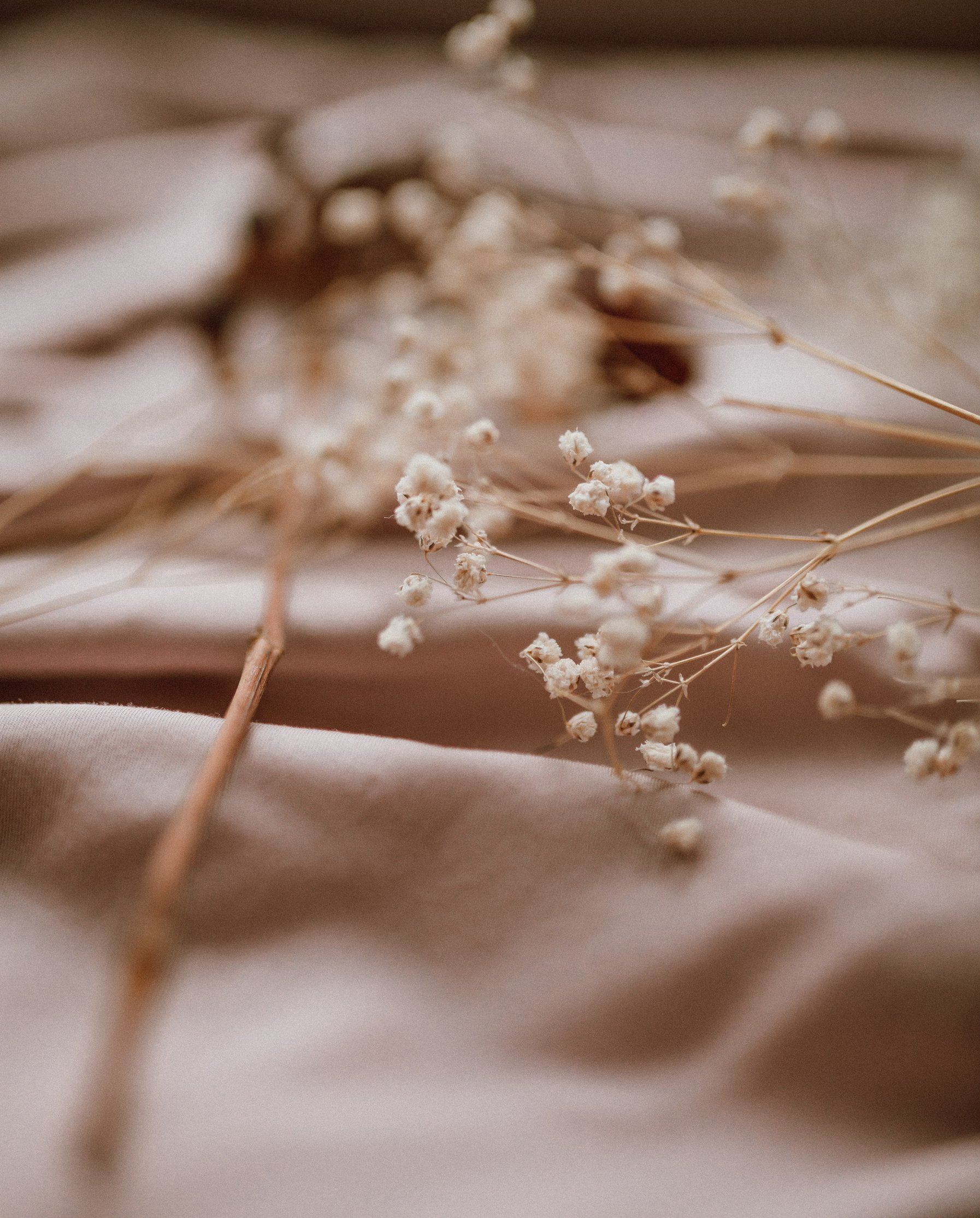 Flowers on Brown Fabric